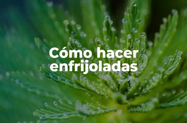 ¿Qué son las enfrijoladas?