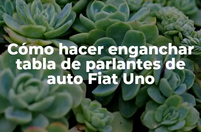 Cómo Hacer Enganchar Tabla de Parlantes de Auto Fiat Uno