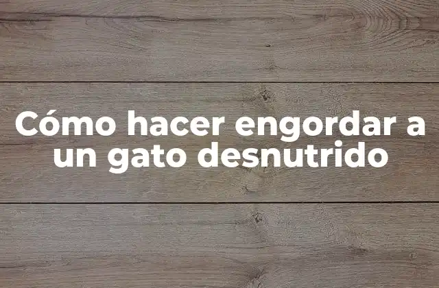 Cómo Hacer Engordar a un Gato Desnutrido