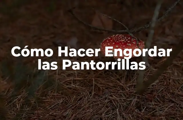 Cómo Hacer Engordar las Pantorrillas