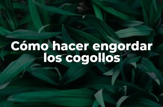 Cómo Hacer Engordar los Cogollos