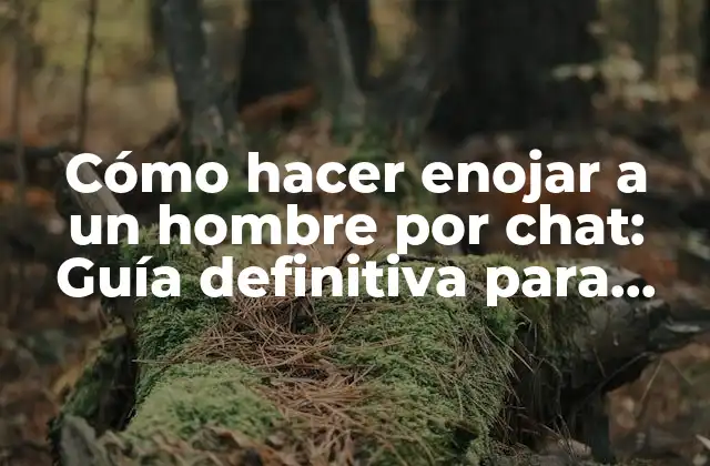 Cómo Hacer Enojar a un Hombre por Chat: Guía Definitiva para Entender a los Hombres en Línea