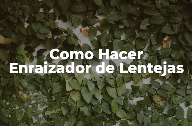 Como Hacer Enraizador de Lentejas