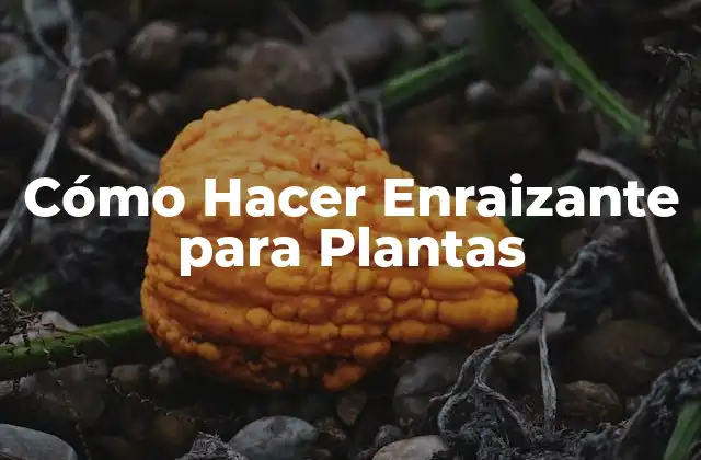Cómo Hacer Enraizante para Plantas