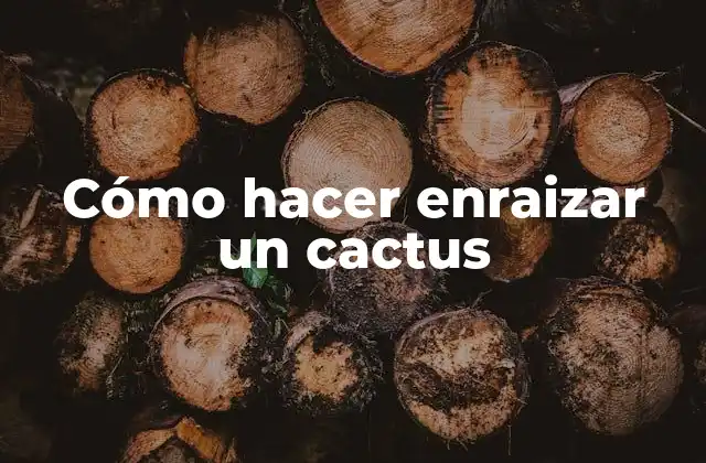 Cómo hacer enraizar un cactus