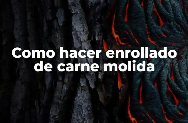 Como Hacer Enrollado de Carne Molida
