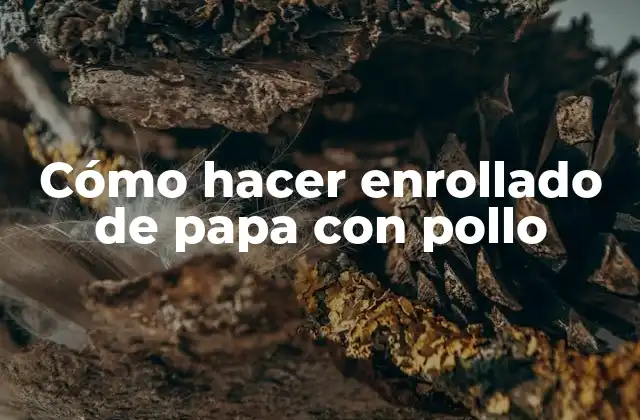 Cómo Hacer Enrollado de Papa con Pollo