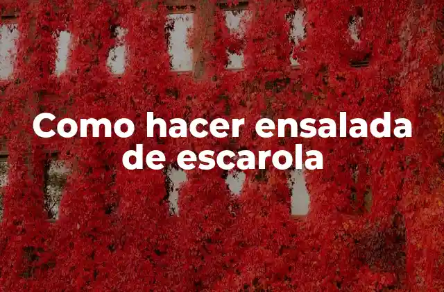 Como Hacer Ensalada de Escarola 2 Ensalada de escarola: qué es y para qué sirve