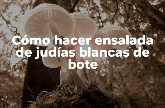 Cómo Hacer Ensalada de Judías Blancas de Bote