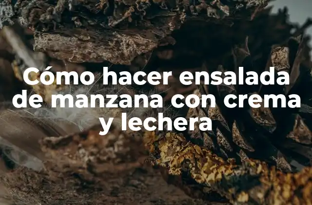 Cómo Hacer Ensalada de Manzana con Crema y Lechera