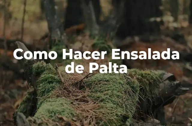 Como Hacer Ensalada de Palta