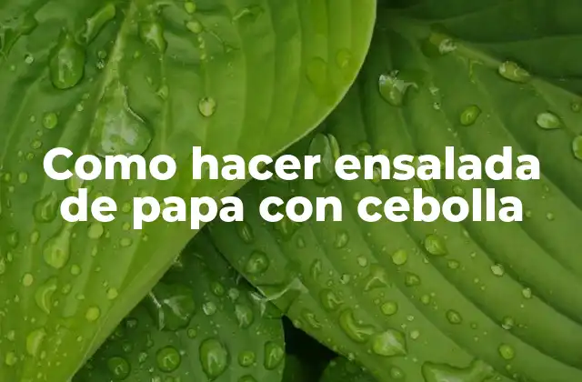 Como Hacer Ensalada de Papa con Cebolla