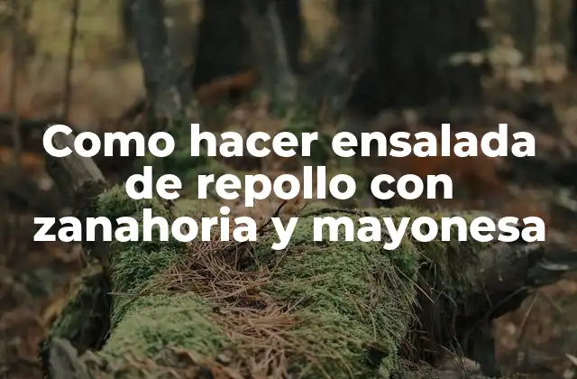 Como Hacer Ensalada de Repollo con Zanahoria y Mayonesa