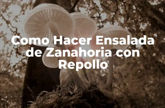 Como Hacer Ensalada de Zanahoria con Repollo 2 ¿Qué es la Ensalada de Zanahoria con Repollo?