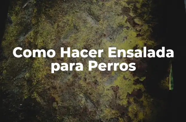 Como Hacer Ensalada para Perros