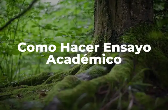 Como Hacer Ensayo Académico