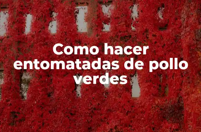 Como Hacer Entomatadas de Pollo Verdes