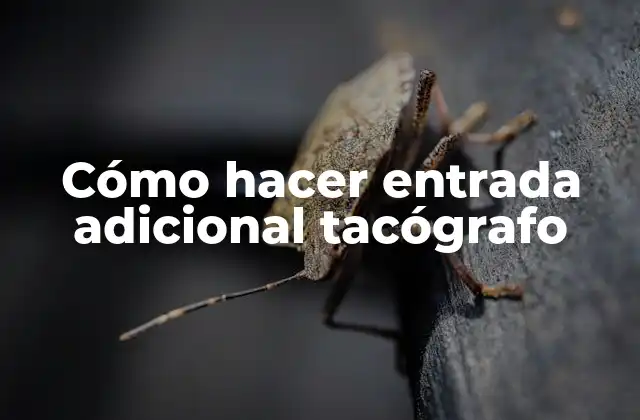 Cómo Hacer Entrada Adicional Tacógrafo