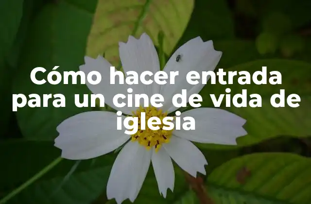 Cómo Hacer Entrada para un Cine de Vida de Iglesia