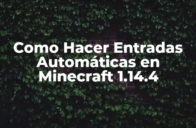 Entradas Automáticas en Minecraft: ¿Qué son y para qué sirven?