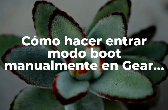 Cómo Hacer Entrar Modo Boot Manualmente en Gear Live
