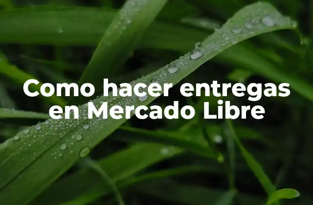 Como Hacer Entregas en Mercado Libre