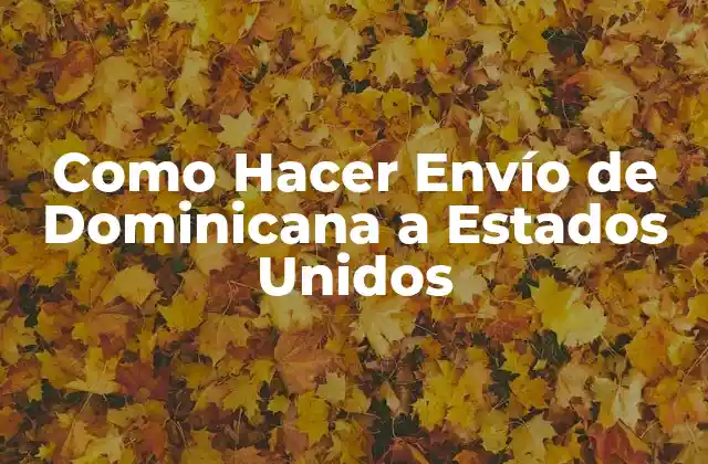 Como Hacer Envío de Dominicana a Estados Unidos