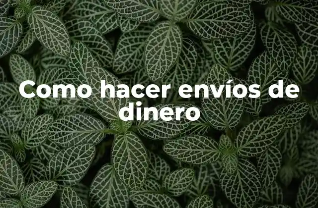 Como Hacer Envíos de Dinero