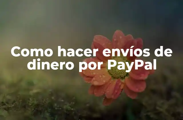 Como Hacer Envíos de Dinero por Paypal