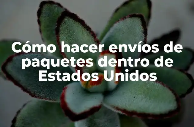 Cómo Hacer Envíos de Paquetes Dentro de Estados Unidos
