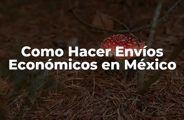 Como Hacer Envíos Económicos en México