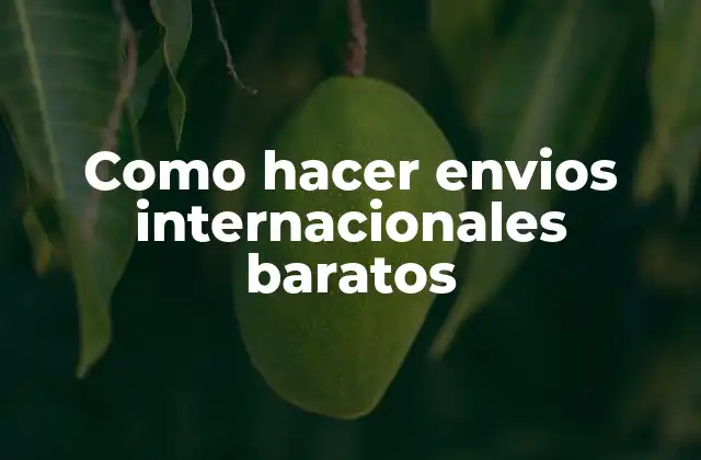 Como Hacer Envios Internacionales Baratos 2 Envíos internacionales baratos: qué son y cómo funcionan