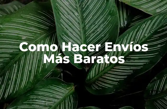 Como Hacer Envíos Más Baratos