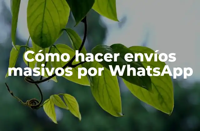 Cómo Hacer Envíos Masivos por Whatsapp