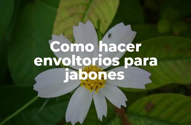 Como Hacer Envoltorios para Jabones