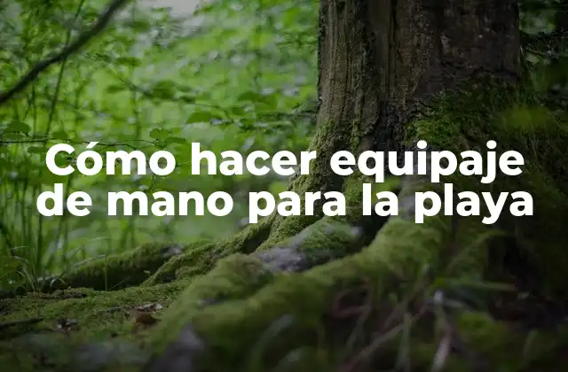 Cómo Hacer Equipaje de Mano para la Playa