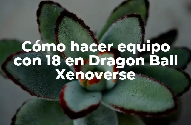 Cómo Hacer Equipo con 18 en Dragon Ball Xenoverse