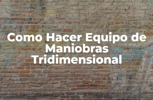 ¿Qué es un Equipo de Maniobras Tridimensional?