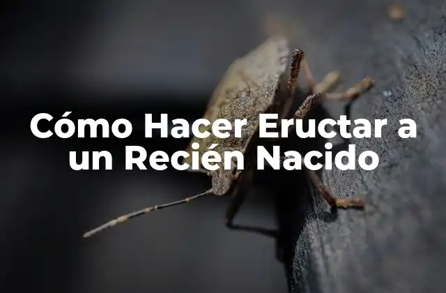 Cómo Hacer Eructar a un Recién Nacido