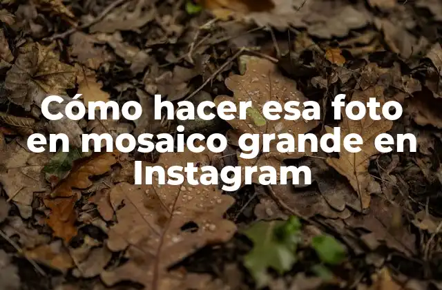 Cómo Hacer Esa Foto en Mosaico Grande en Instagram