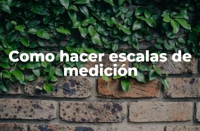 ¿Qué es una escala de medición?