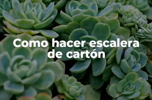 Como Hacer Escalera de Cartón