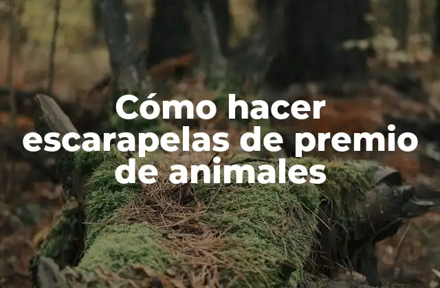 ¿Qué son las escarapelas de premio de animales?