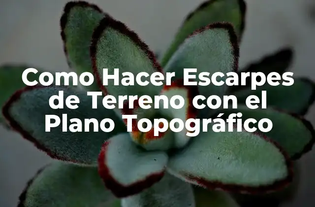 Como Hacer Escarpes de Terreno con el Plano Topográfico