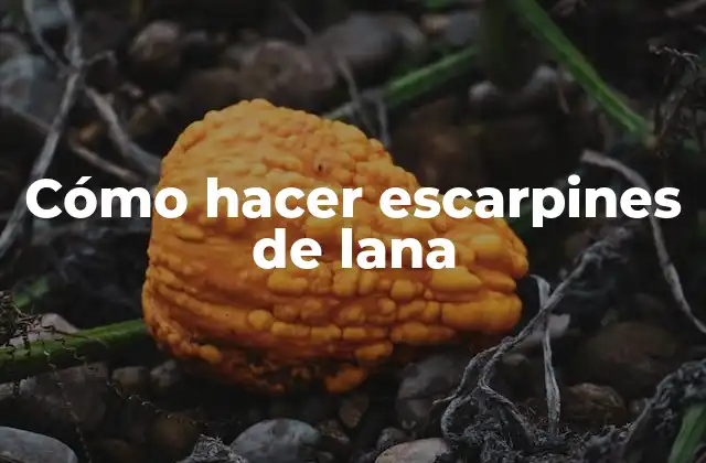 Cómo Hacer Escarpines de Lana 2 Cómo hacer escarpines de lana