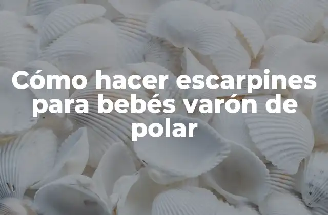 Cómo Hacer Escarpines para Bebés Varón de Polar