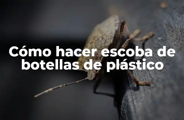 Cómo Hacer Escoba de Botellas de Plástico