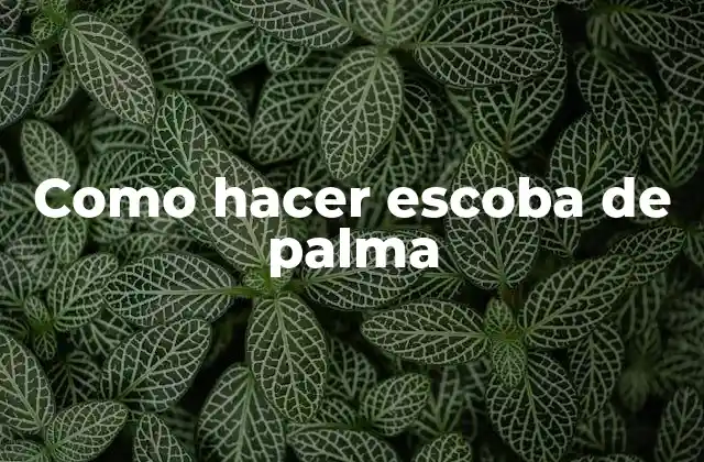 Como Hacer Escoba de Palma