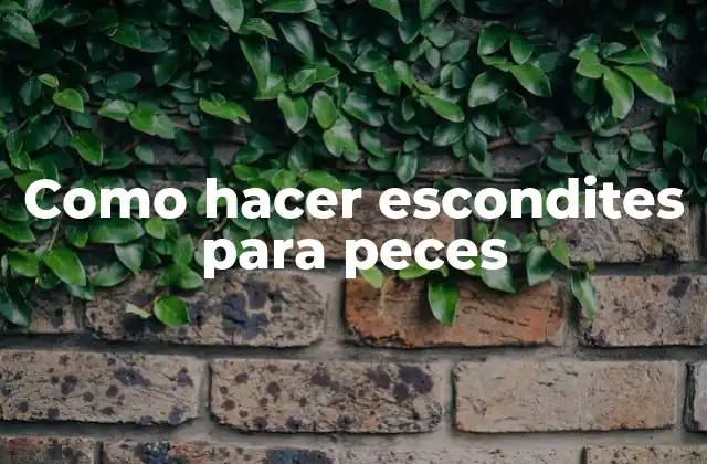 Como Hacer Escondites para Peces