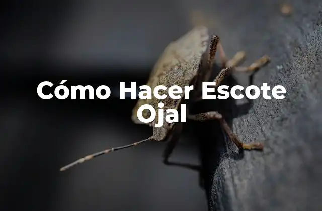 Cómo Hacer Escote Ojal